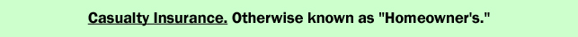 Casualty Insurance.  Otherwise known as "Homeowner's."